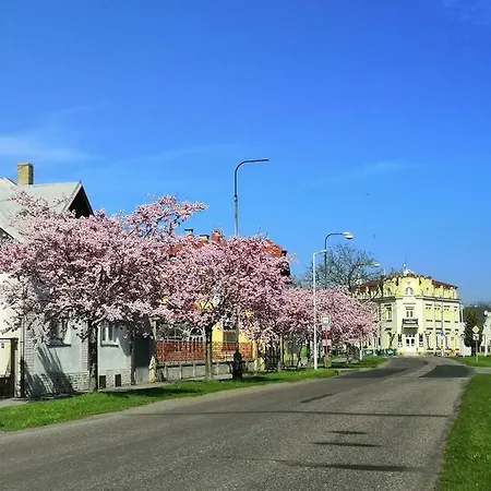 Modra Hvezda 호텔 Sadská