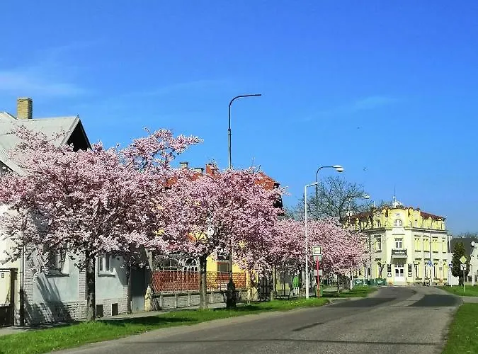 Modra Hvezda Hotel Sadska